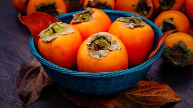 Primorska/obala, Slovenija